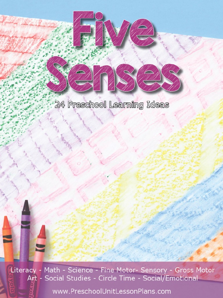 04 Five Senses Printables PDF Neuroscience