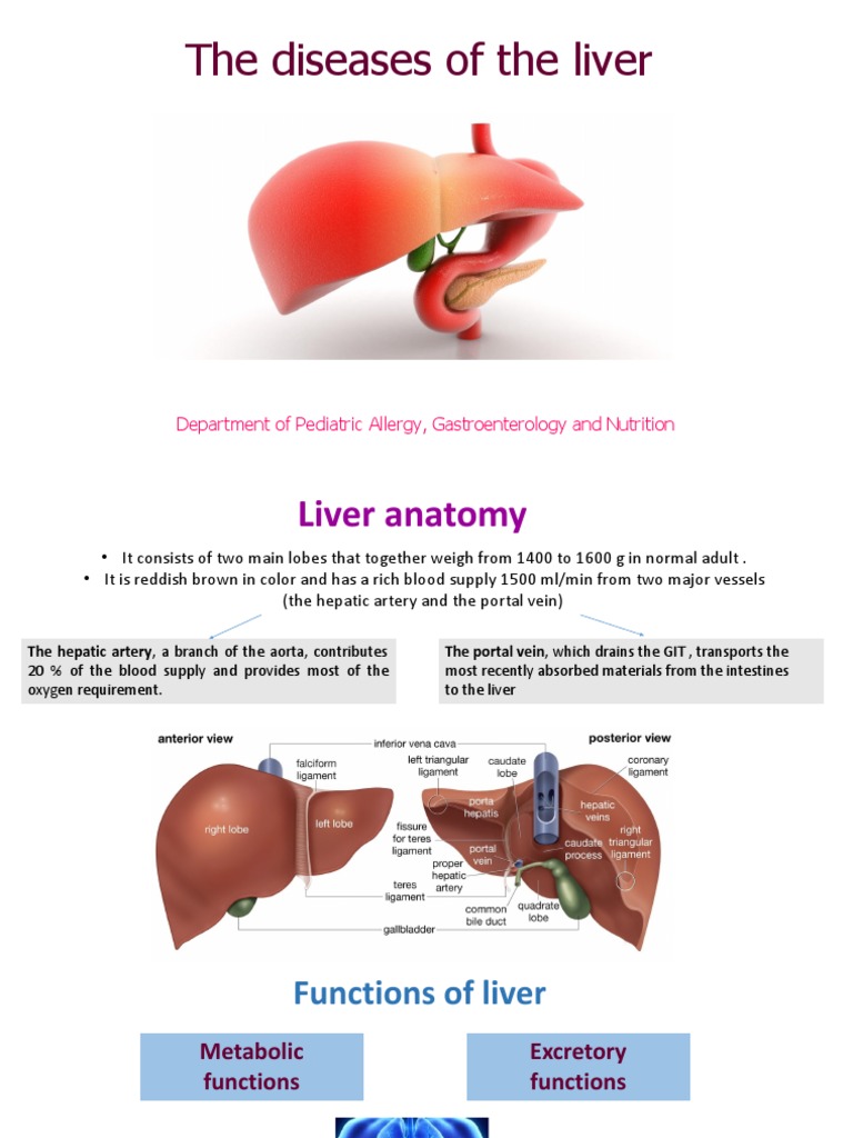 The Diseases of The Liver Department of Pediatric Allergy