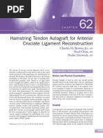 Hamstring Tendon Autograft For Anterior Cruciate Ligament Reconstruction