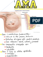 Epiteliais: Fundamentales