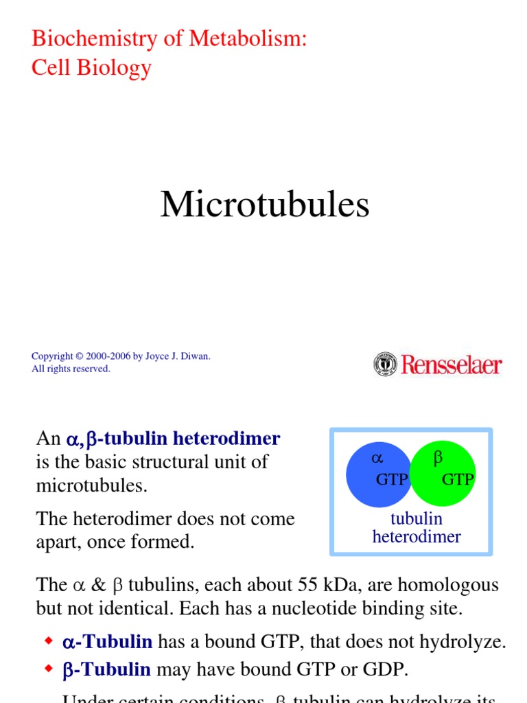Microtubules: Biochemistry of Metabolism: Cell Biology Biology Diagrams