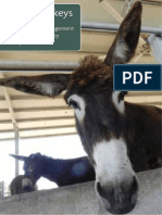 Dairy Donkeys: Good Animal Management Practices For Donkey Milk Production