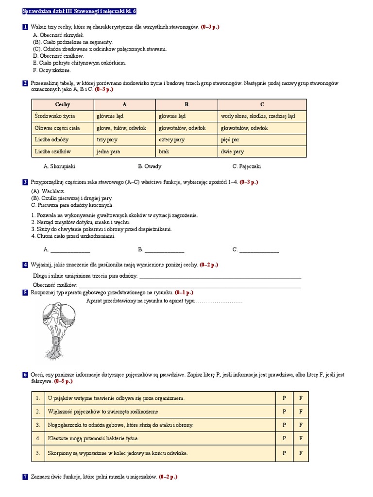 Test Biologia Klasa 6 Dzial 1