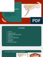 Meckels Diverticulum