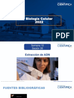 Biología Celular-Extracción de ADN-10-16