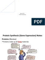 Protein Synthesis: From DNA to mRNA to Protein