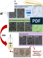 Fibers: Effect of Ethylcellulose Concentration (1.5 To 14 WT%)