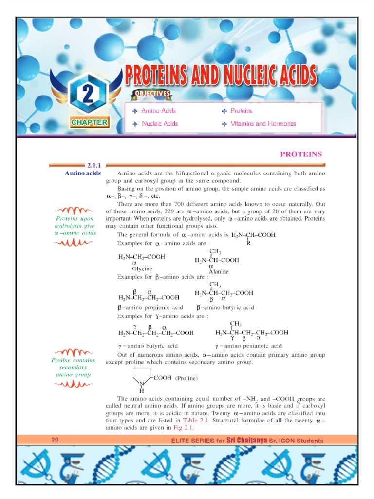 Proteins and Nucleic Acids | PDF