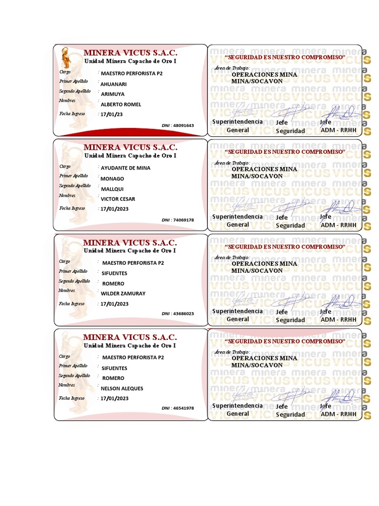 Fotochecks Minera Vicus S.A.C. | PDF