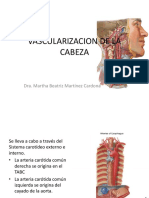 Vascularizacion de La Cabeza