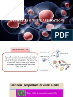Stem Cells: Sources, Types & Applications