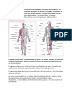 Reseña sistemamusculoesqueletico-WPS Office