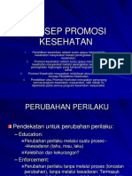 Program Promkes