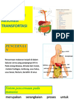 Salauran Pencernaan, Absorsi Dan Transfortasi