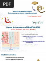 Schistosoma Mansoni: Introdução À Helmintologia e Esquistossomose