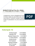 Presentasi PBL