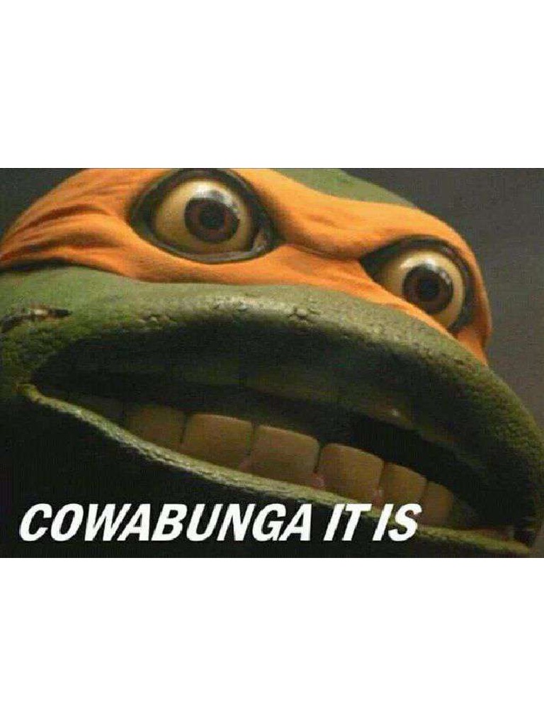 cowabunga teleties