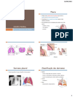 ROTEIRO - Lquido Pleural