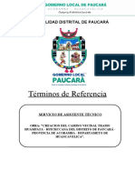 TDR Asisitente Tecnico