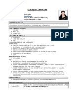 Curriculum Vitae-2