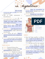 Sistema digestório: processos e funções