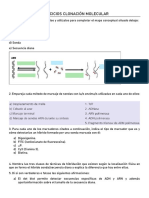 Ejercicios clonación molecular técnicas hibridación