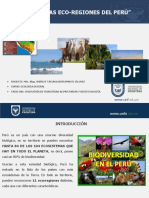 SESION4ECOREGIONESDELPERU