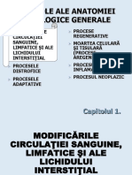 C02 - Modific Circulat - 1 - Ok