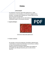 Tifoidea: 1.-¿Qué Causa La Enfermedad?