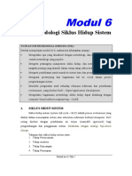 Modul 6: Metodologi Siklus Hidup Sistem