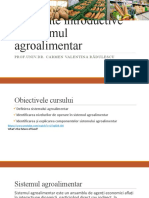 Elemente Introductive În Sistemul Agroalimentar: Prof - Univ.Dr. Carmen Valentina Rădulescu