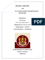 Project Report ON Mushroom Cultivation Technology (ELM-422) : Submitted by