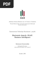 Download Hurtownie danych OLAP Business Intelligence by Kasia Gruszczyska SN63830435 doc pdf