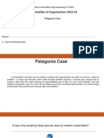 Patagonia Case: Uma empresa sustentável de sucesso