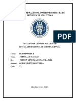Frenillos Bucales Informe