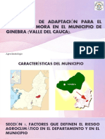Estrategias de Adaptaci N para El Cultivo de Mora en El Municipio de Ginebra (Valle Del Cauca)