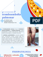 Trombosis Venosa Profunda y Tromboembolia Pulmonar: Dr. Roberto Lopez Medicina Interna II Merelyi Victoria Reyes Cruz