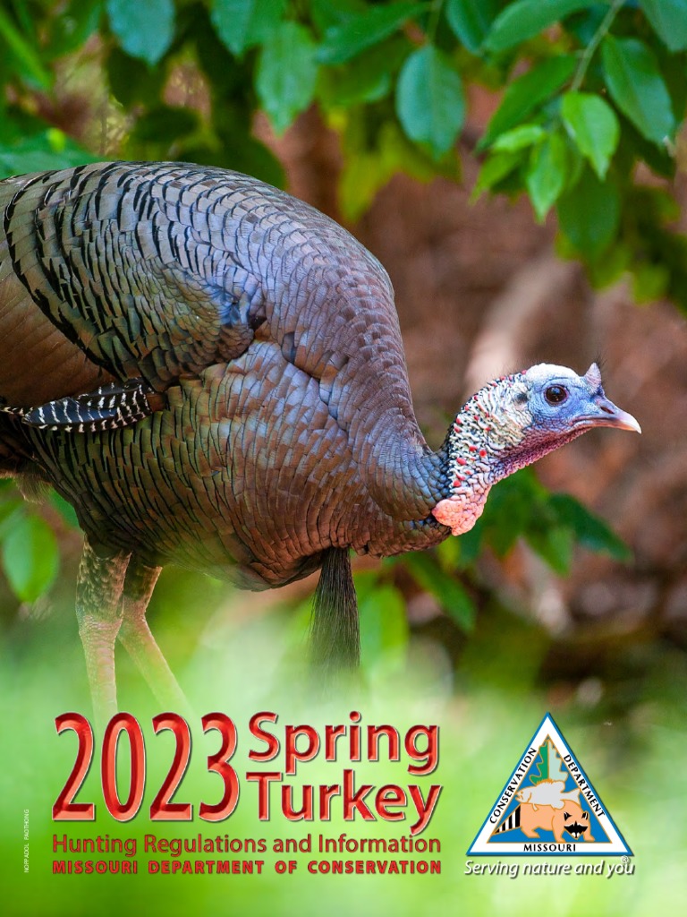 2023 Spring Turkey Hunting Regs PDF Hunting Habitat