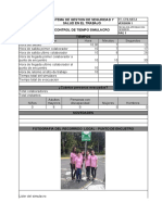 Sistema de Gestion de Seguridad Y Salud en El Trabajo: Ft-Cts-Sst-2