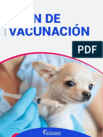 PLAN DE VACUNACION EN PERROS - Descarga