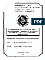 Plantas Medicinales Utilizadas Durante El Proceso de Parto y Puerperio