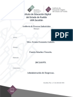 Ensayo Auditoría de Procesos Industriales