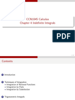 CCN1045 Calculus Chapter 4 Indefinite Integrals