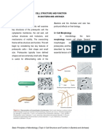 Major Cell Morphologies in Bacteria and Archaea