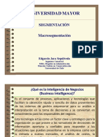 06 A Macrosegmentacion PDF