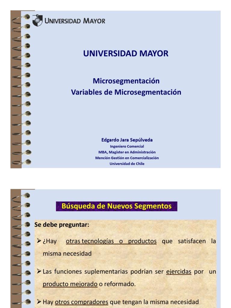06 B Microsegmentacion | PDF | Marketing | Economias