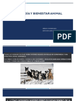 Etología Y Bienestar Animal: Médico Veterinario Jesús Eduardo Fernández Andrade