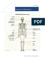 Ingles Medico I: Vocabulary of The Human Skeleton