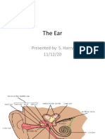 The Ear: Presented By: S. Harry 11/12/20