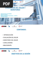 Escala Cpot | PDF